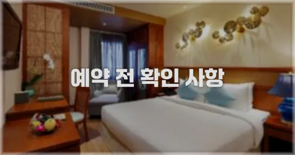 예약 전 확인 사항